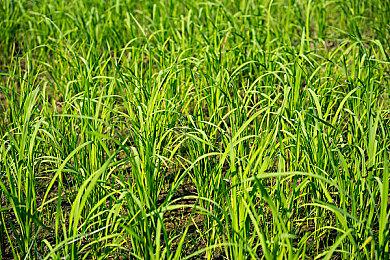 小岛秀夫不服老：有创作激情 我可以坚持下去！