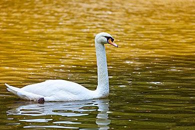 《怪物猎人：荒野》新预告 2025年2月28日发售